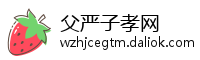 父严子孝网